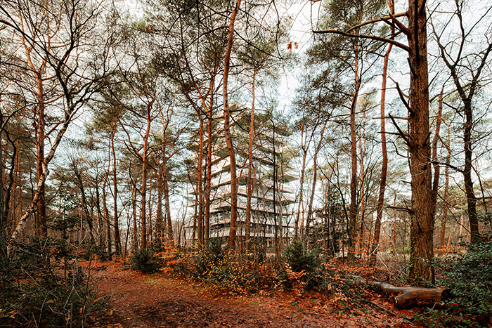 orange architects beaufort 16 within the forest