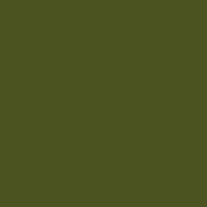 khaki green color, πράσινο χακί χρώμα