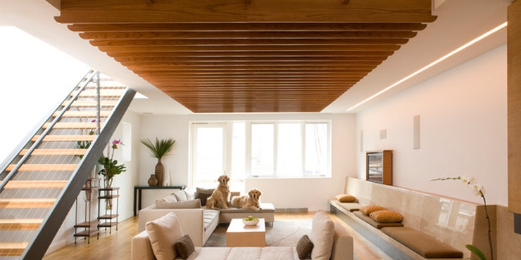 http://www.houzz.com/photos/86187/Living-Room-contemporary-living-room-new-york